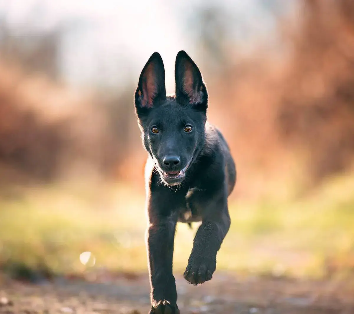 Jeder Beitrag hilft, uns für den Ernstfall einsatzbereit zu bleiben!