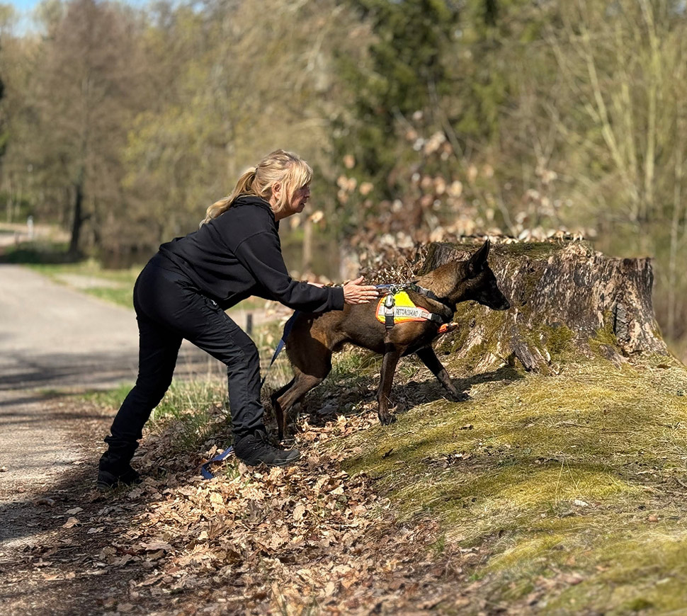 Was unsere Rettungshunde leisten und warum sie Deine Hilfe brauchen 1