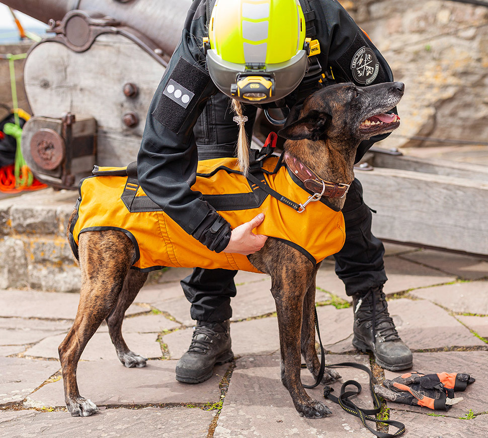 Was unsere Rettungshunde leisten und warum sie Deine Hilfe brauchen 3