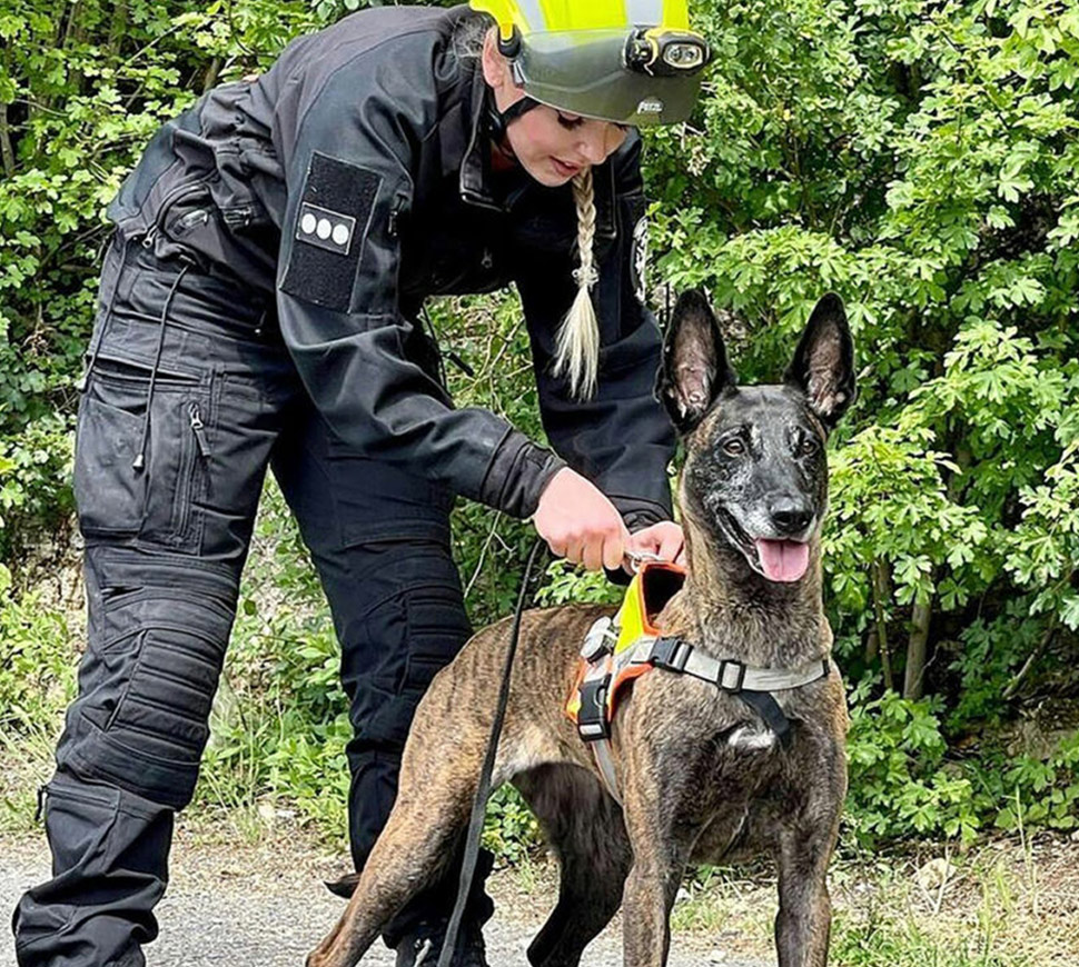Was unsere Rettungshunde leisten und warum sie Deine Hilfe brauchen 4
