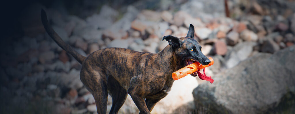 Danke, Jürgen Vogel